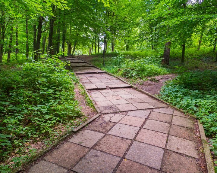 a path paved with concrete pavers meandering through a lush green forest.