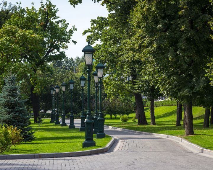 A city park with concrete sidewalks lined by trees and lampposts.