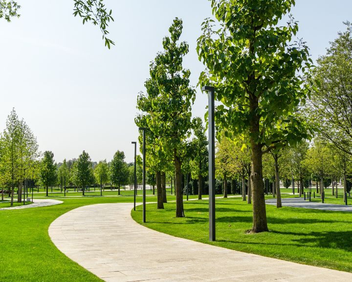 A city park featuring concrete sidewalks amidst lush green trees and grass.
