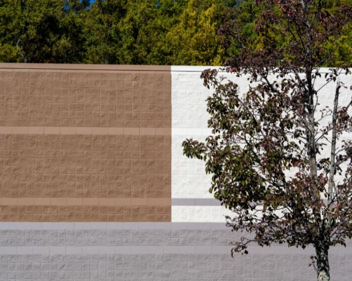 A city building with concrete walls, adorned by a tree in front.