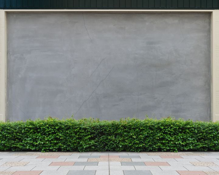 City concrete wall adorned with bushes.